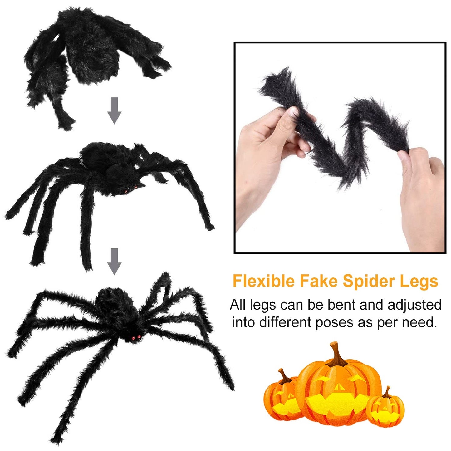Outdoor tarantula Web