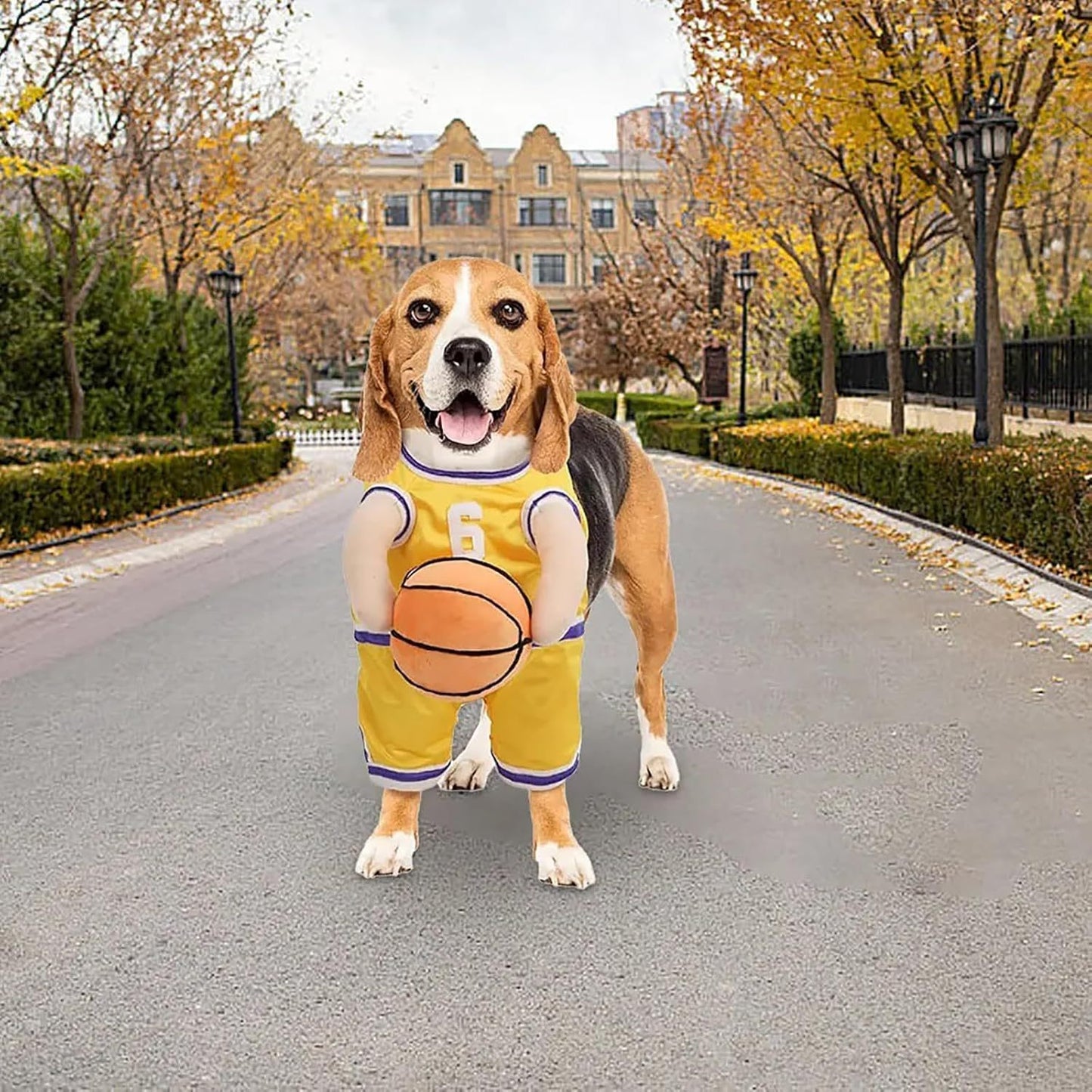 Ball Player Costume