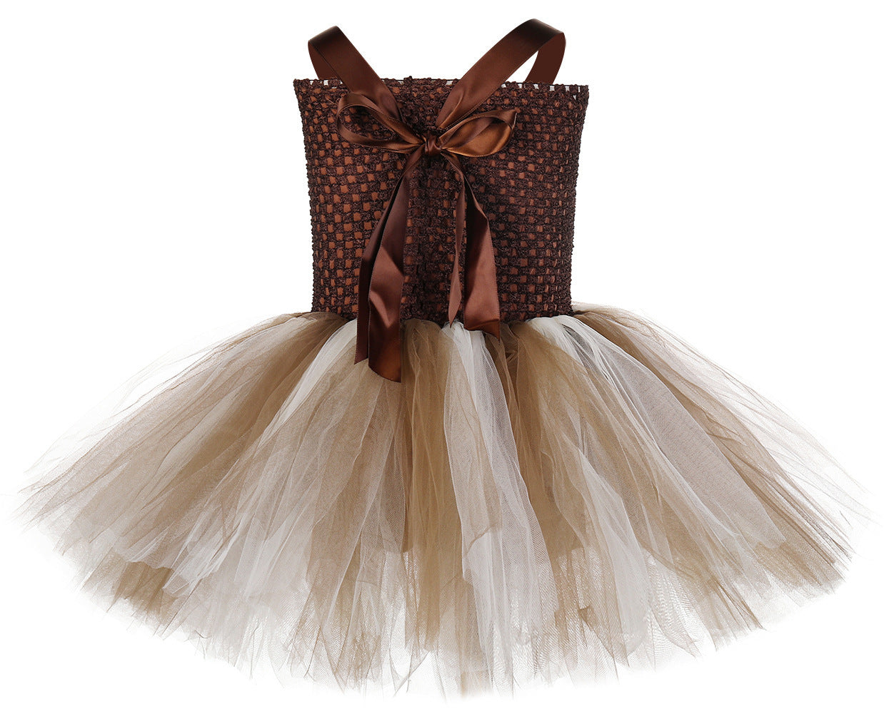 Mesh Princess Dress