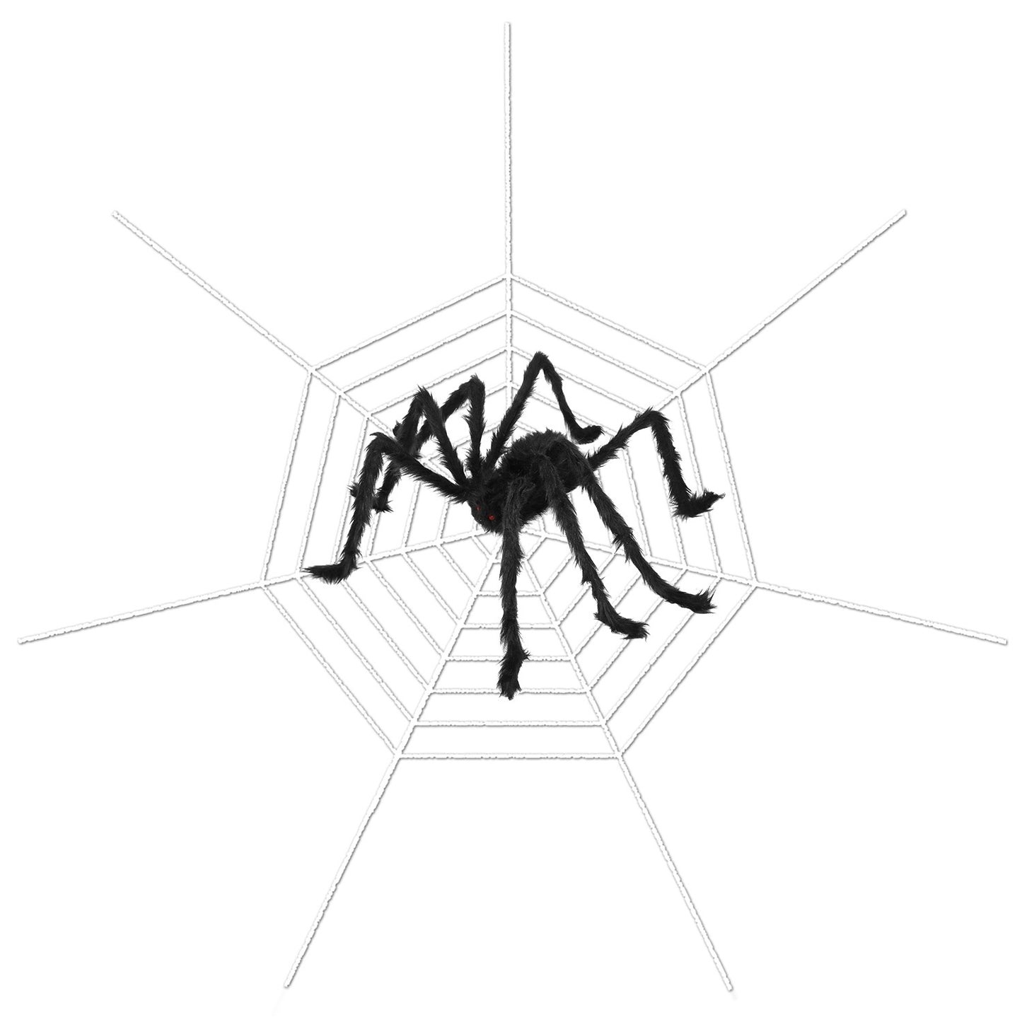 Outdoor tarantula Web