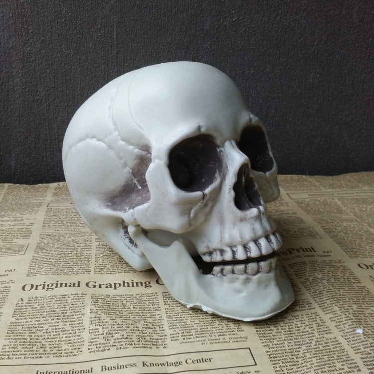 Artificial Skull