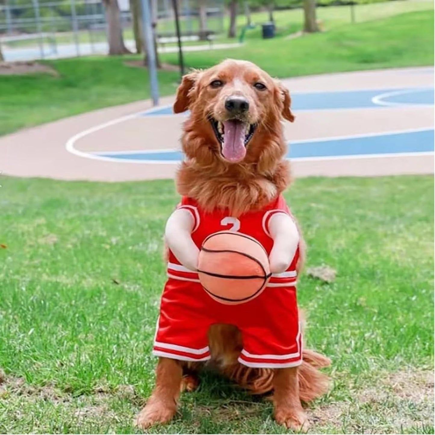 Ball Player Costume