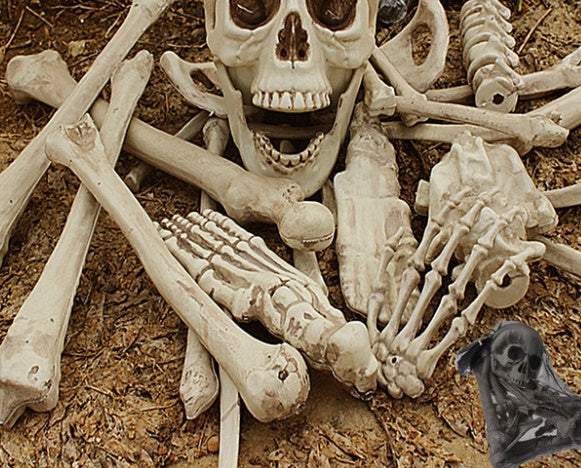 Halloween Skeleton Bones 28pcs