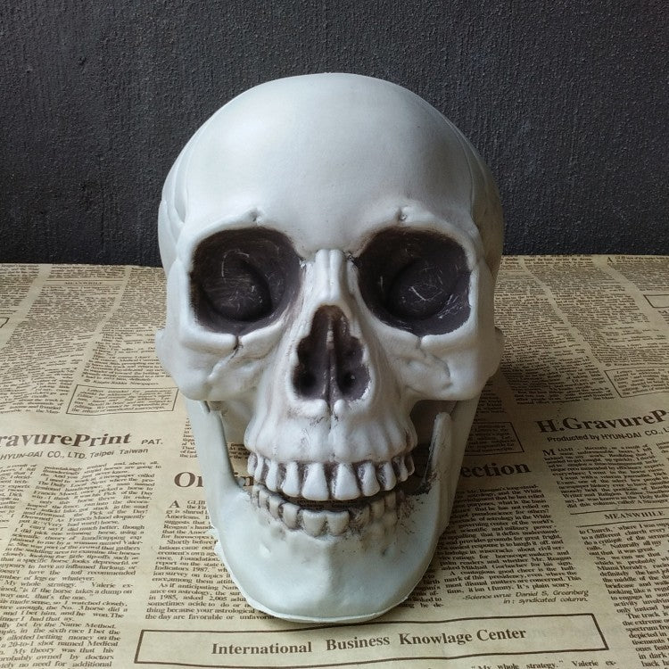 Artificial Skull