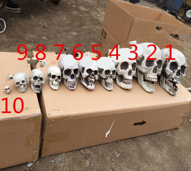 Artificial Skull