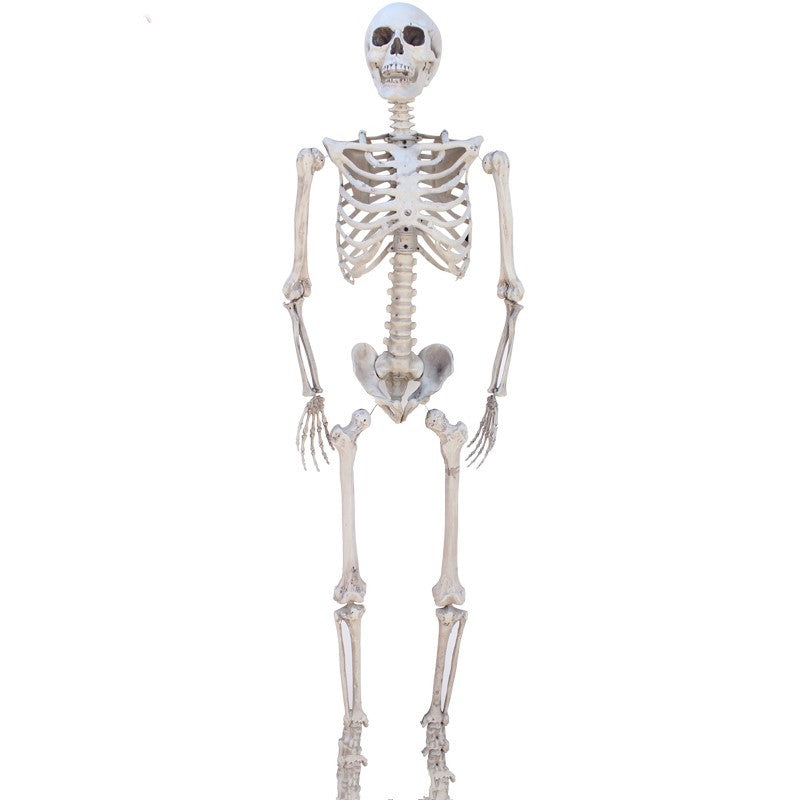 ghost skull horror props