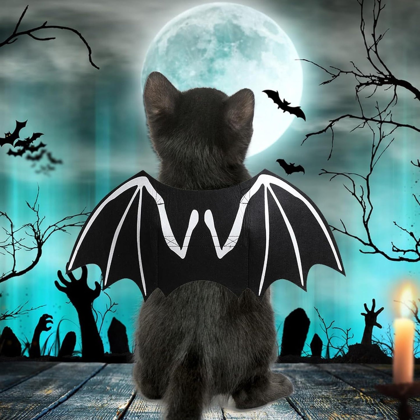 Bat Costume