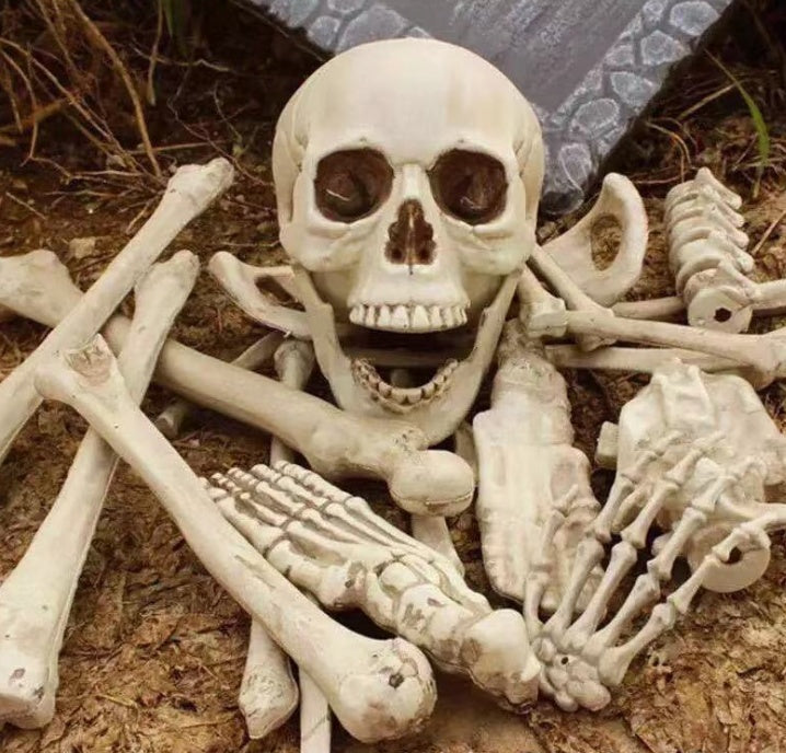 Halloween Skeleton Bones 28pcs