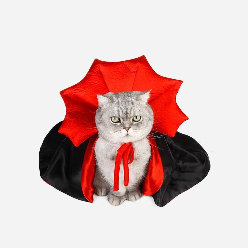 Vampire Costume