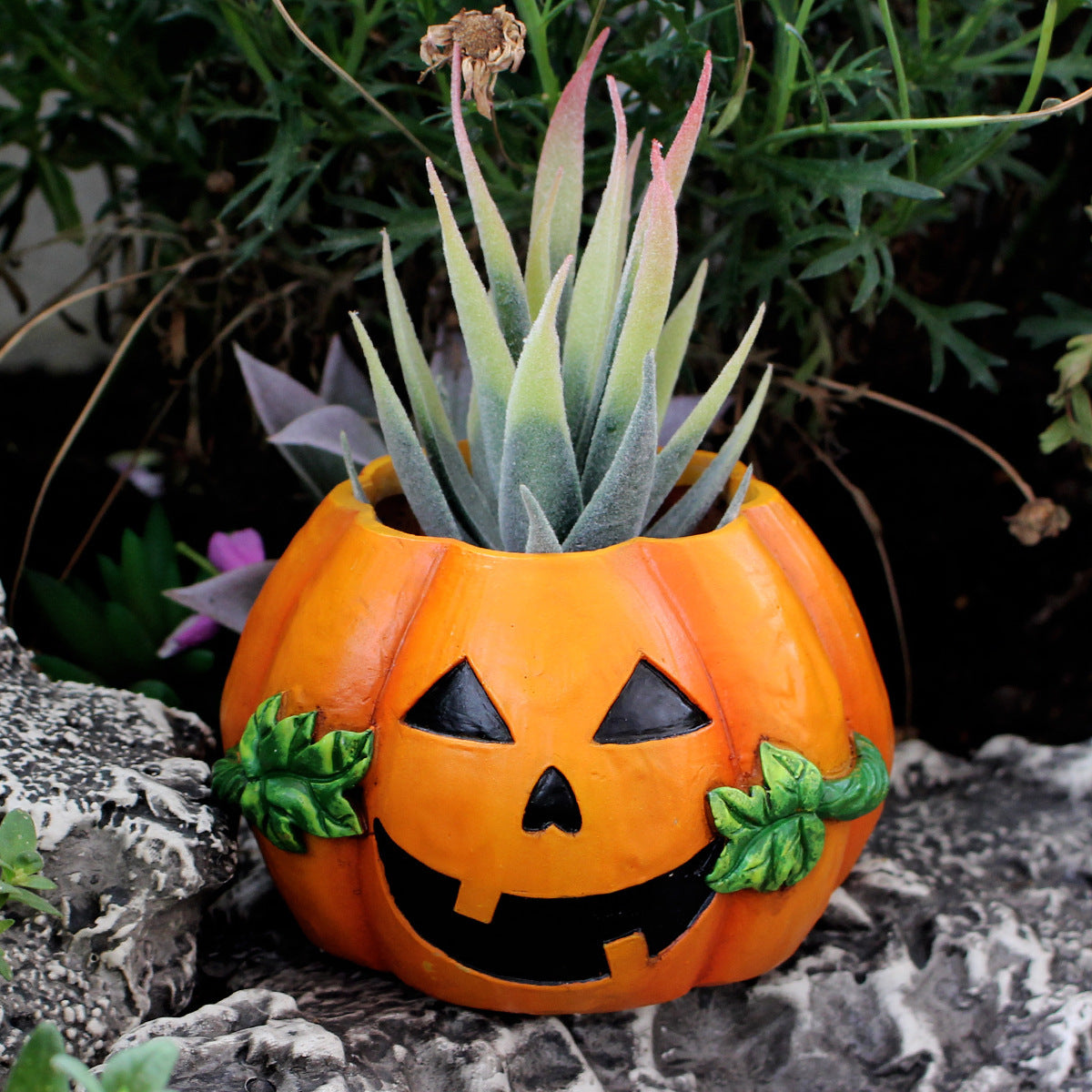 Pumpkin Decoration Flowerpot
