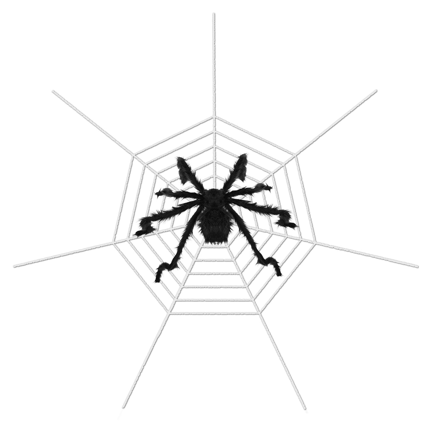 Outdoor tarantula Web