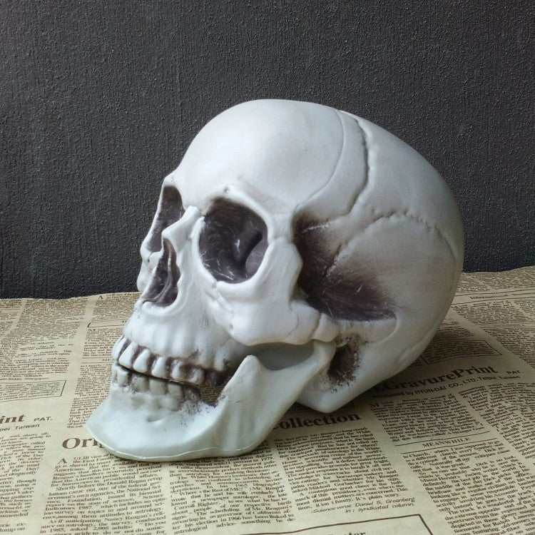 Artificial Skull