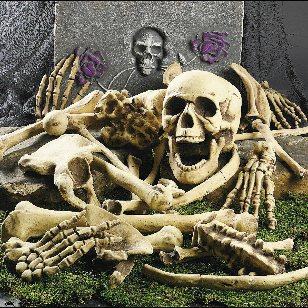 Halloween Skeleton Bones 28pcs