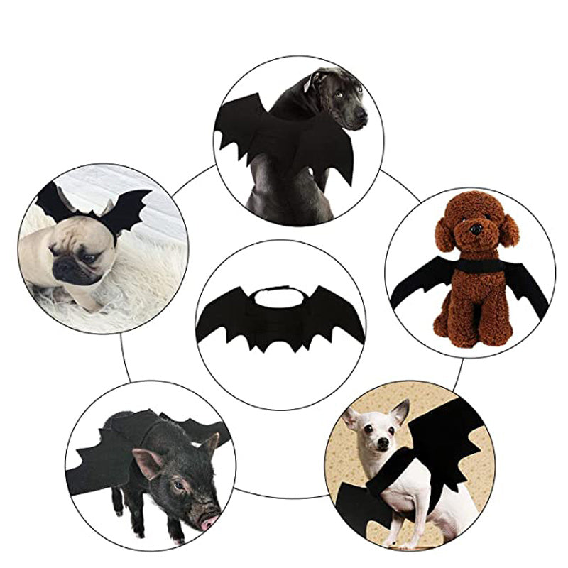 Pet Cat Small Dogs Bat Wings Halloween