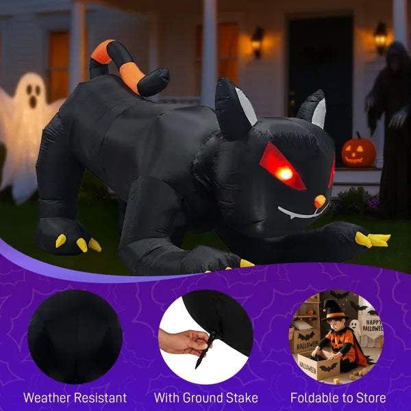 Black Cat With Shakable Head