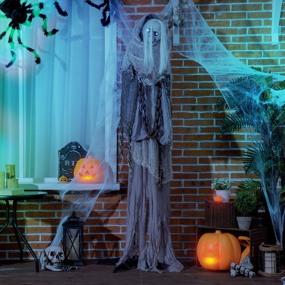 Life Size Skeleton Witch