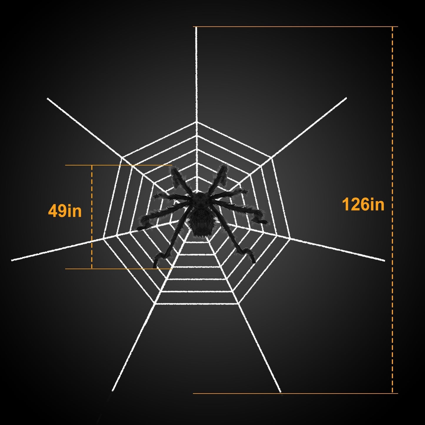Outdoor tarantula Web