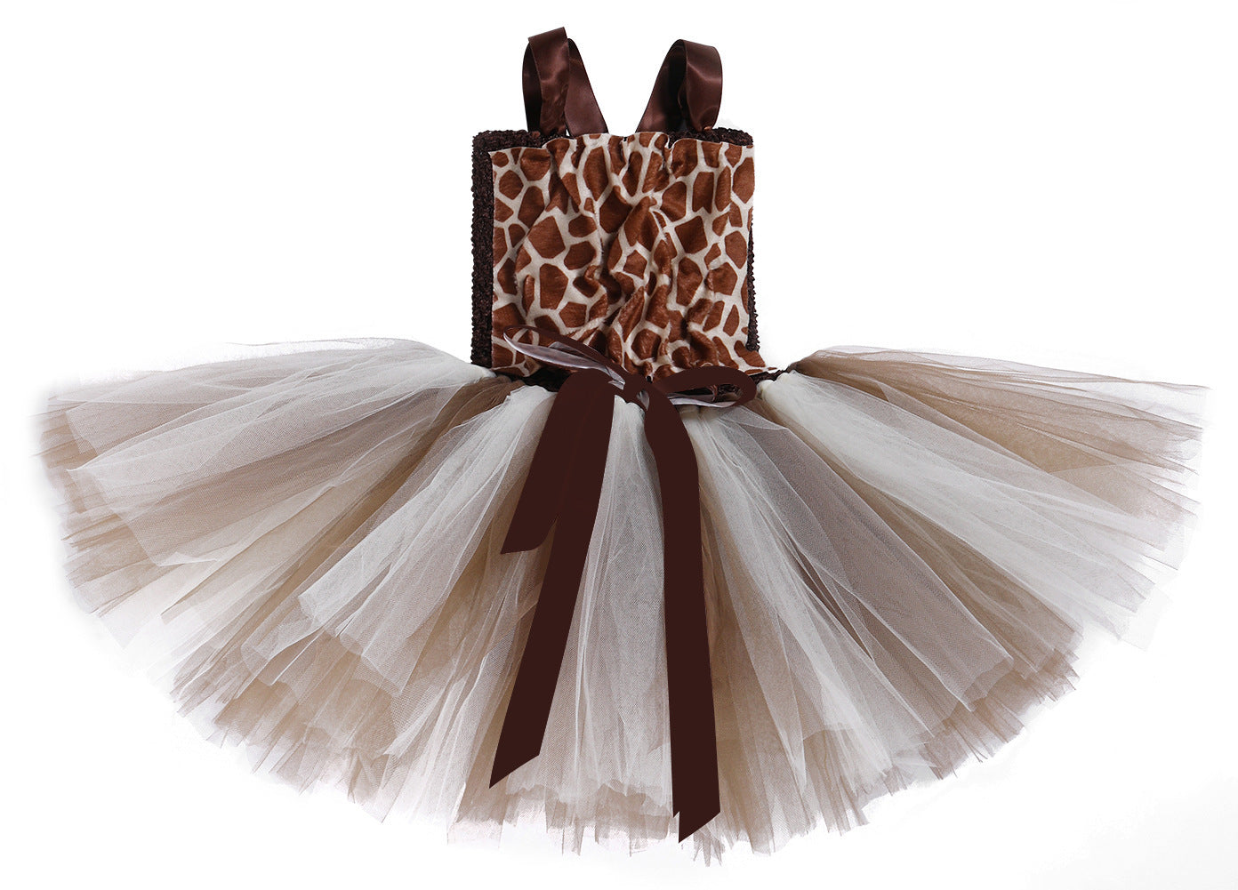 Mesh Princess Dress