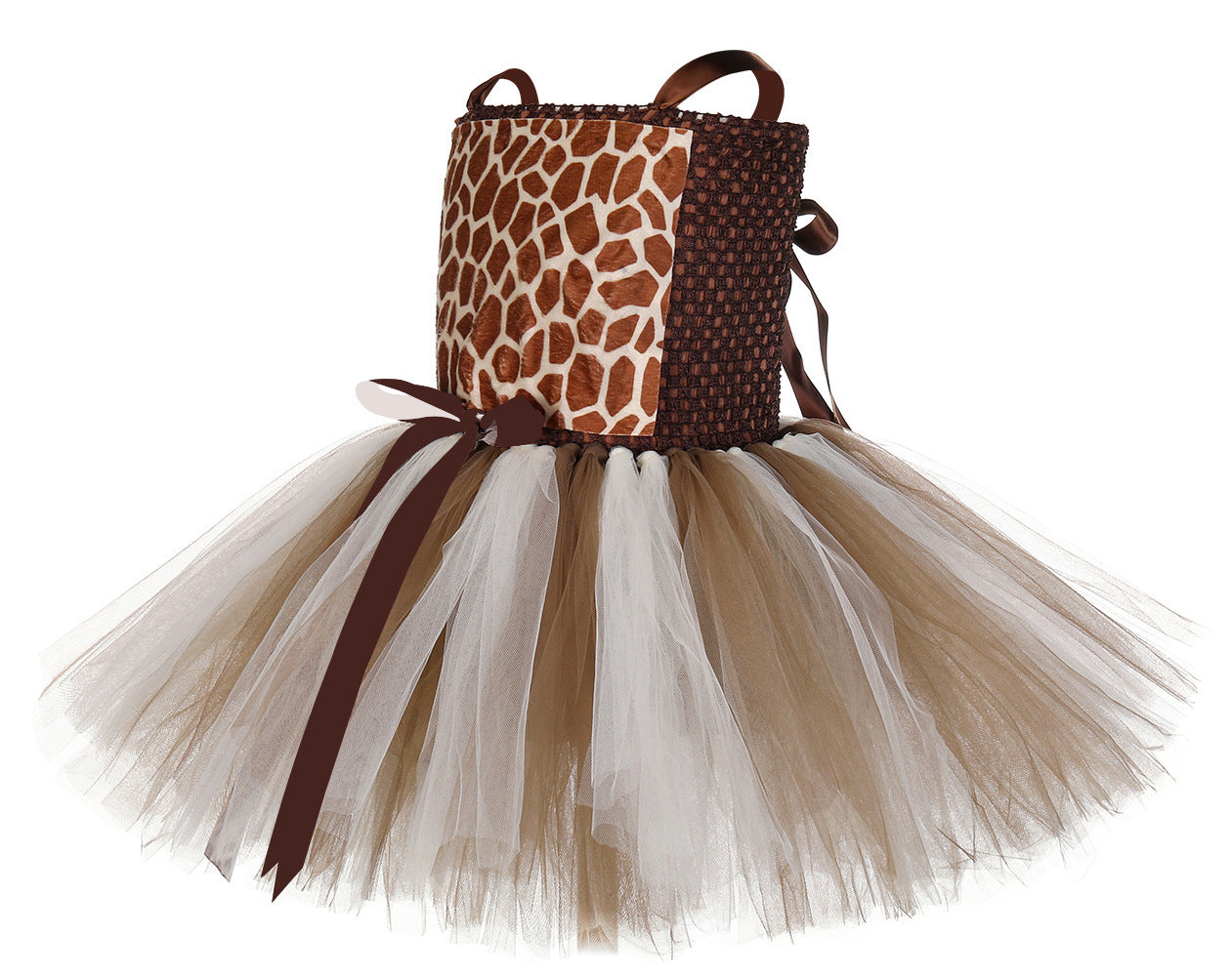 Mesh Princess Dress