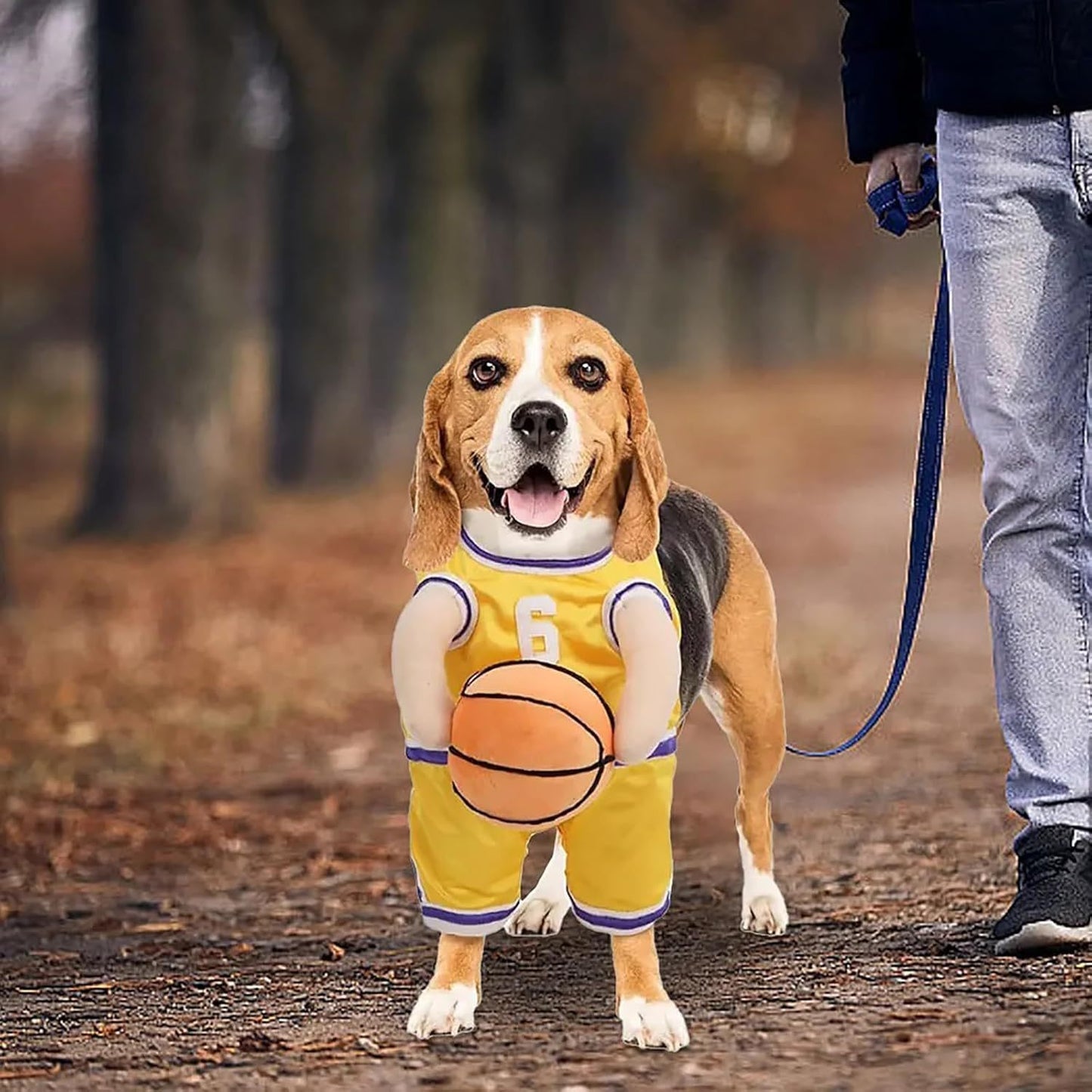 Ball Player Costume