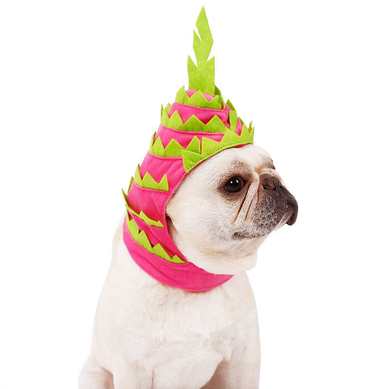 Dragon Fruit Costume