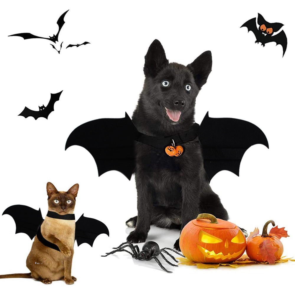 Pet Bat Wings