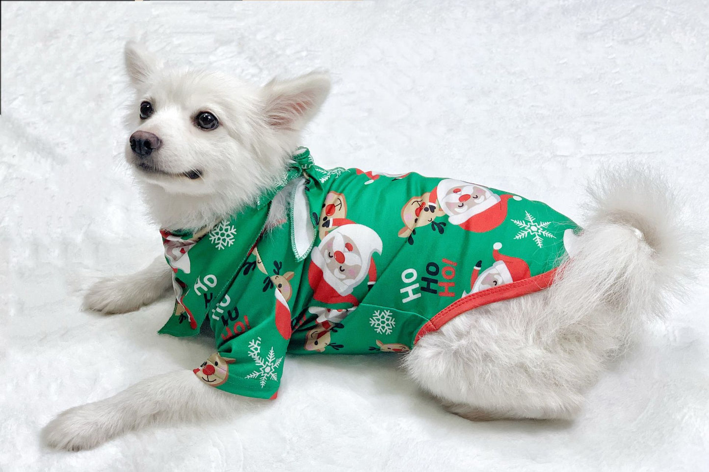 Santa Claus Matching Family Christmas PJs Sets
