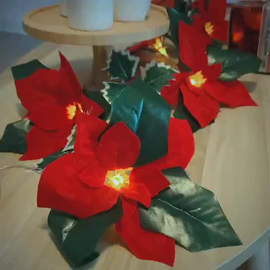 Lights With Red Flowers And Red Fruits