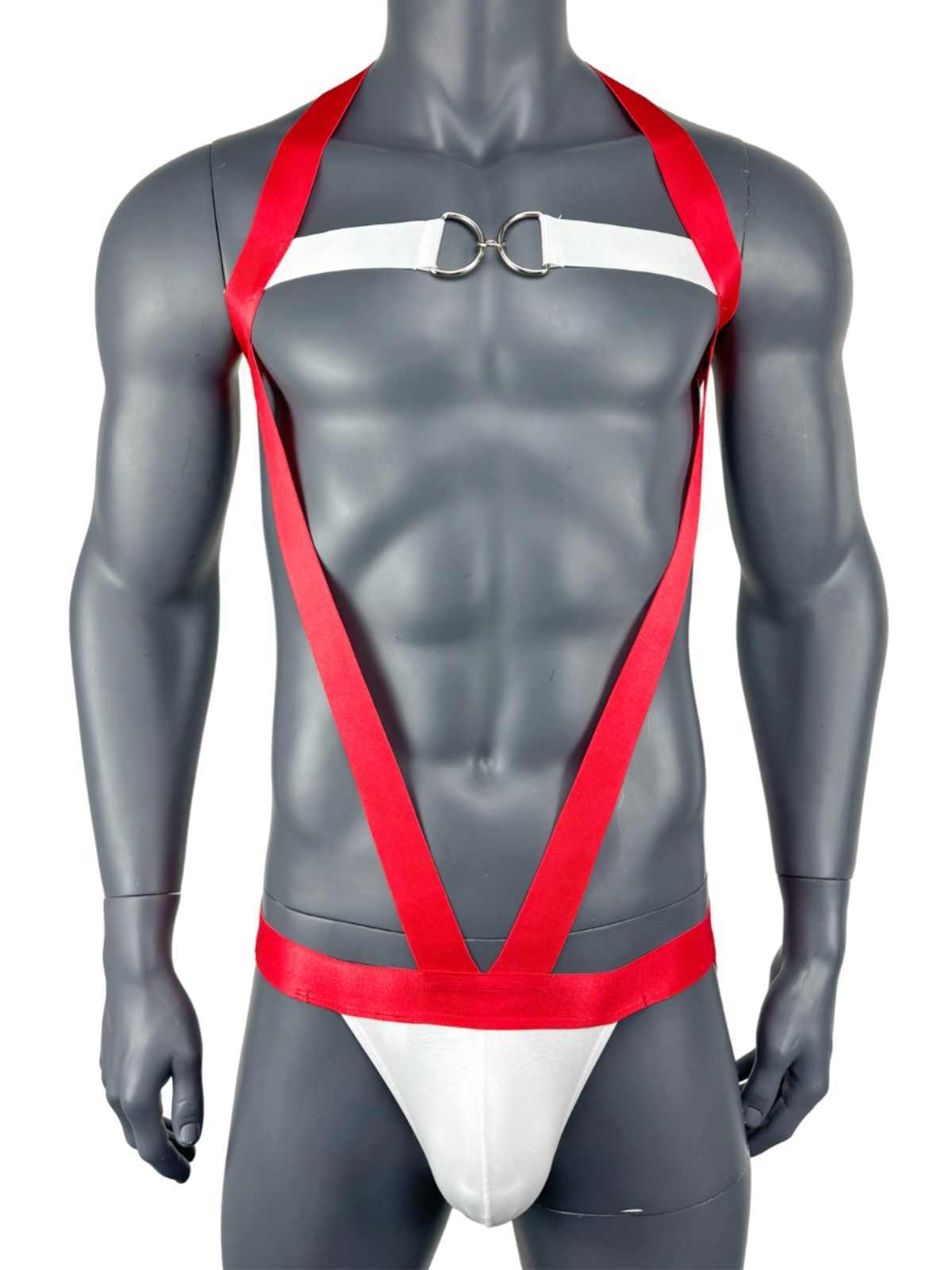 Lingerie Performance Costumes