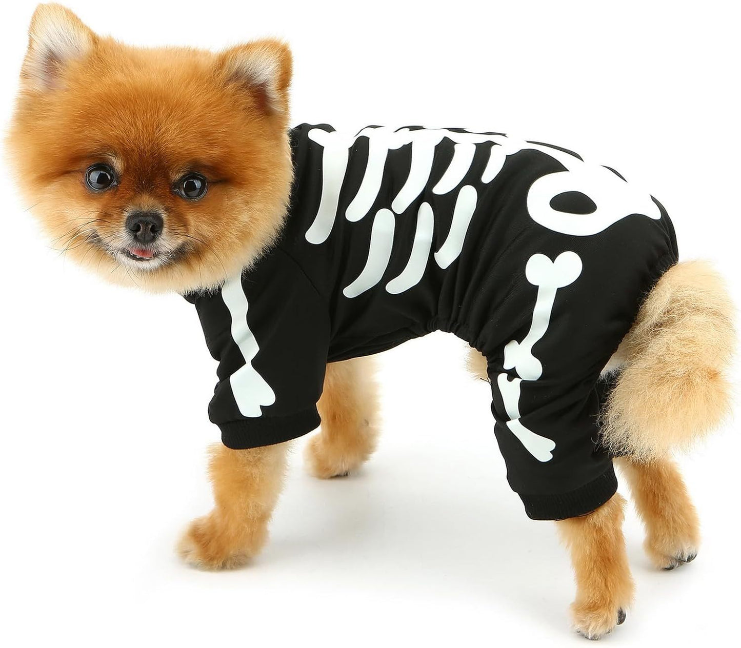 Dark Skeleton Costume