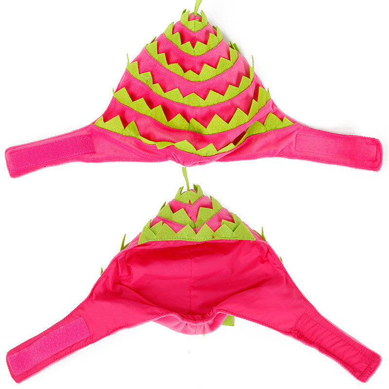 Dragon Fruit Costume