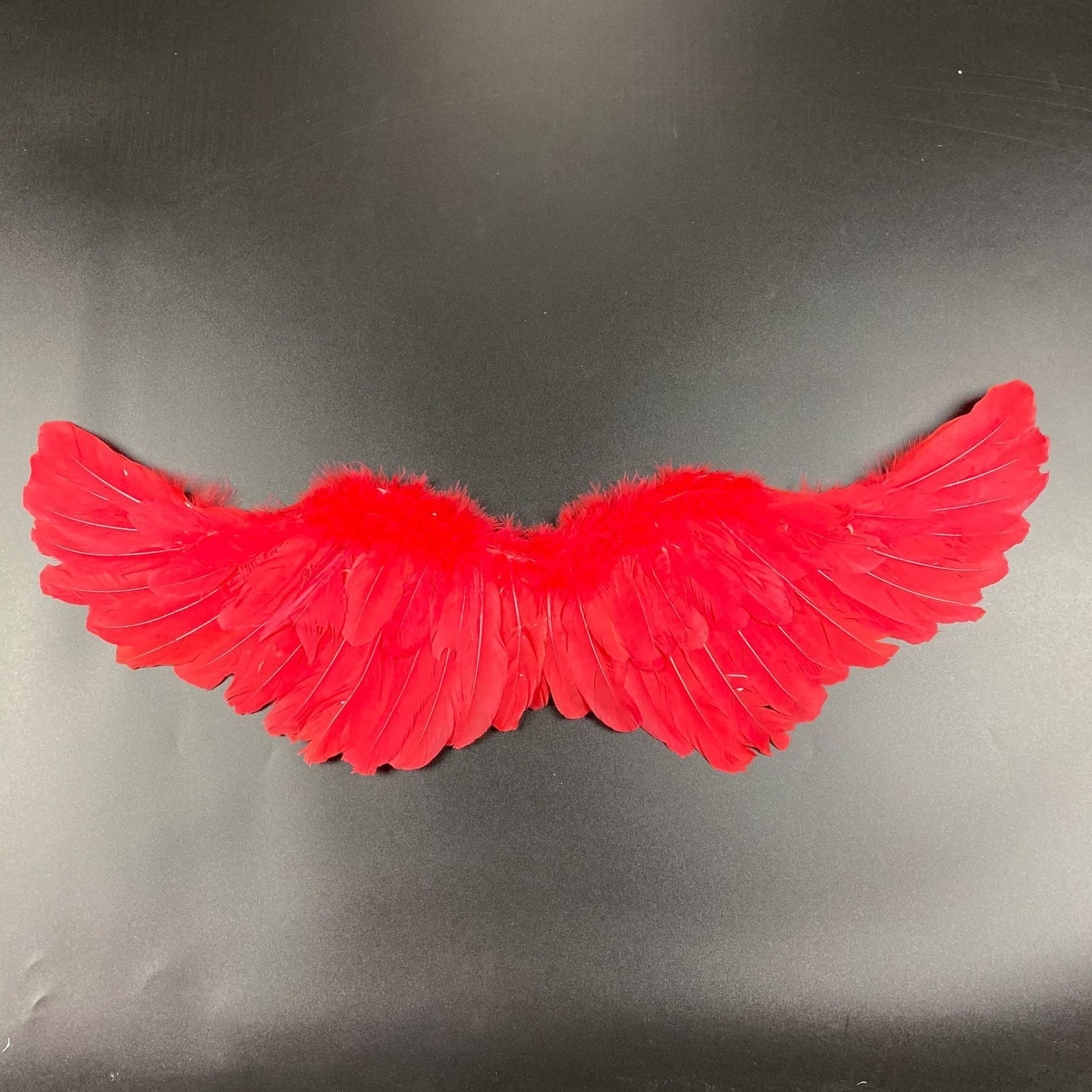 Personalized Halloween COSPLAY Angel Wings
