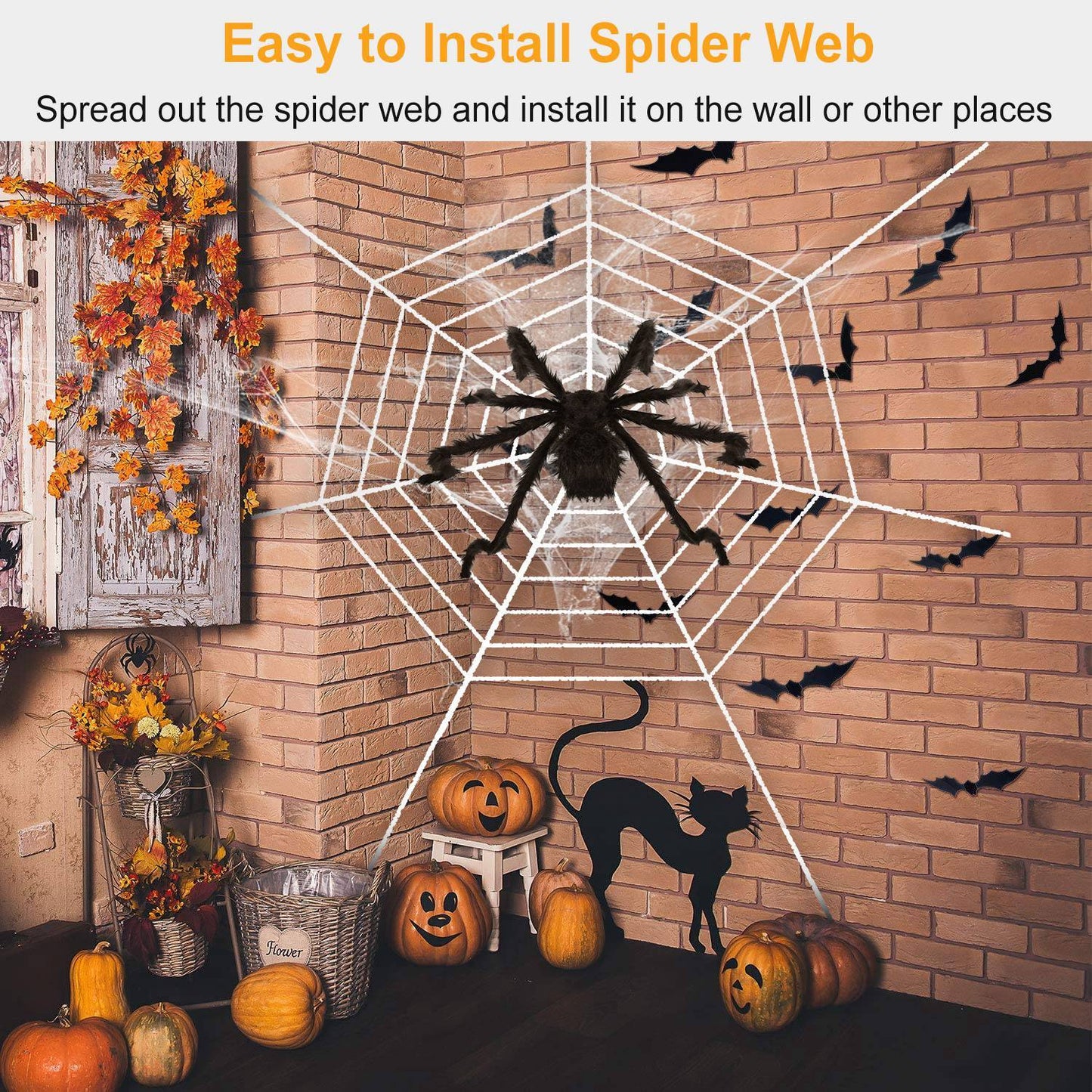 Outdoor tarantula Web