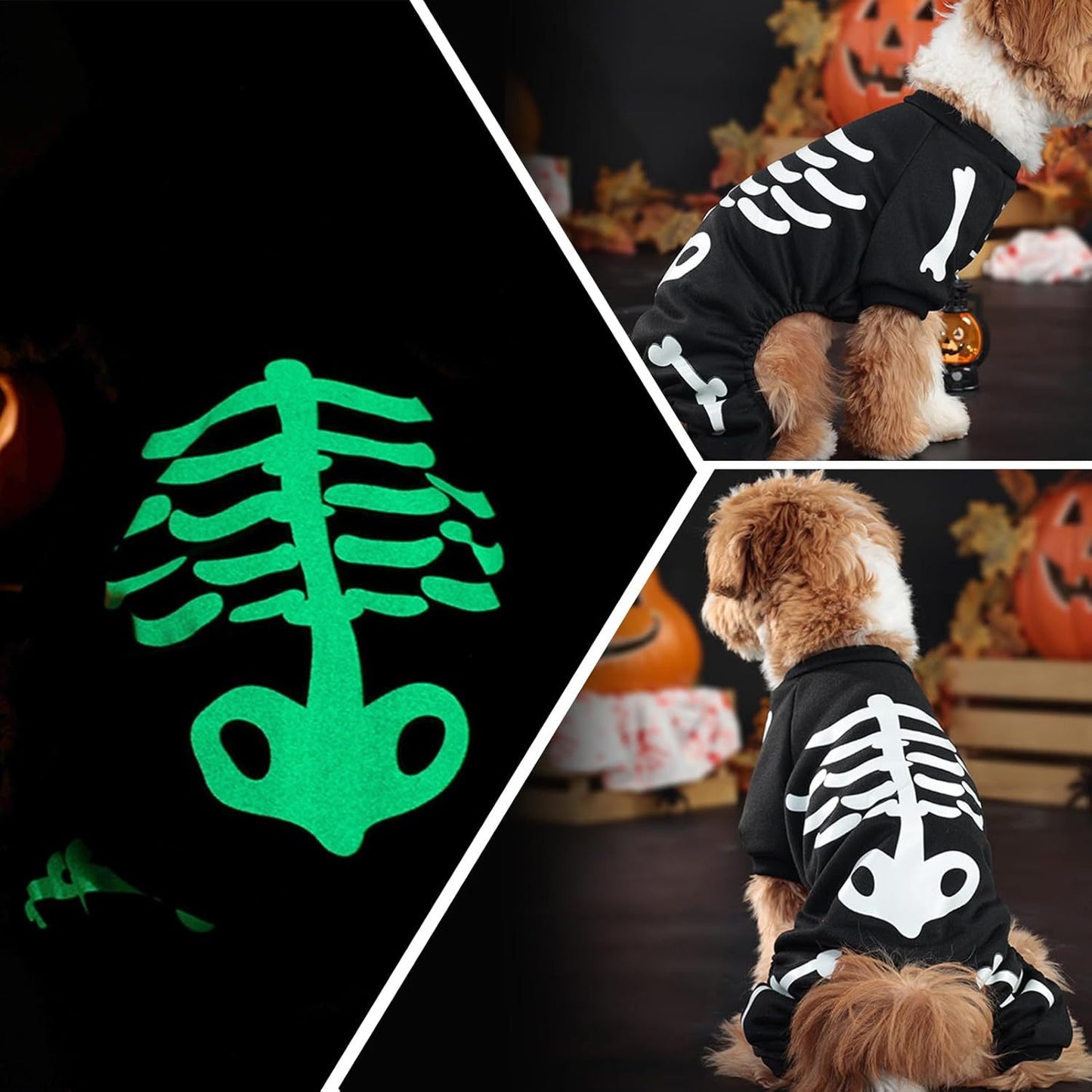 Dark Skeleton Costume