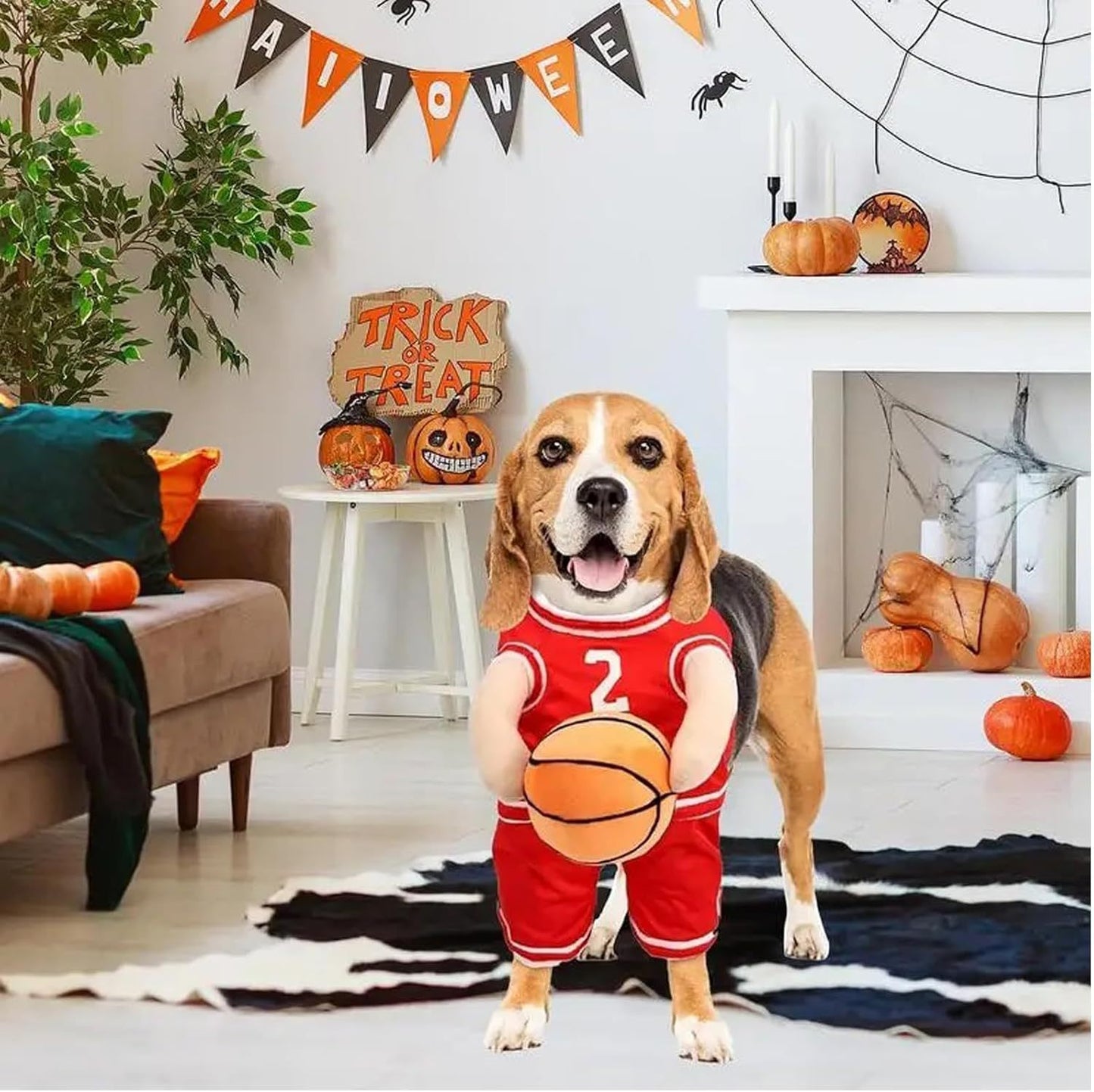 Ball Player Costume