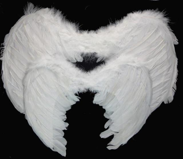 Angel Wings Costume