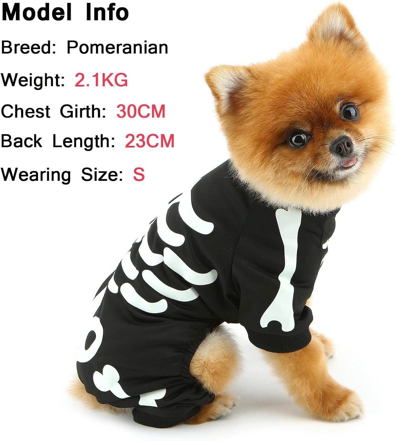 Dark Skeleton Costume