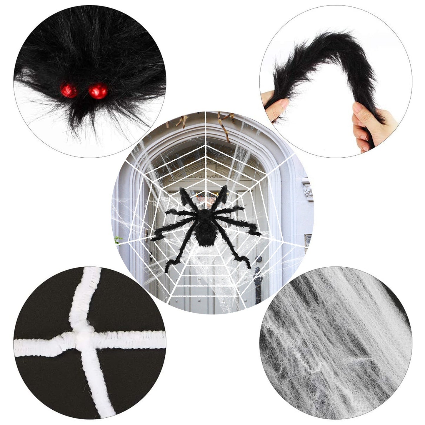 Outdoor tarantula Web
