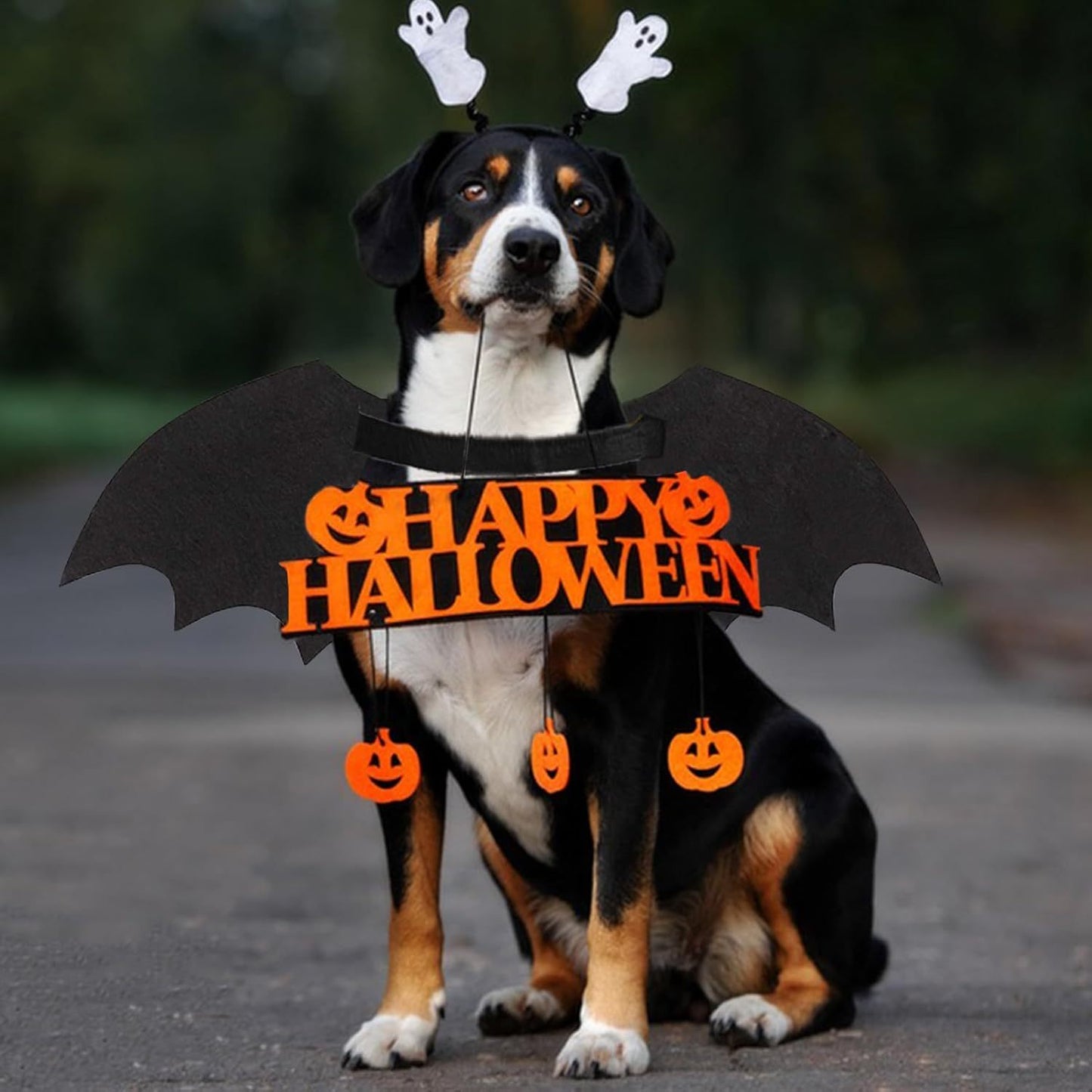 Bat Costume