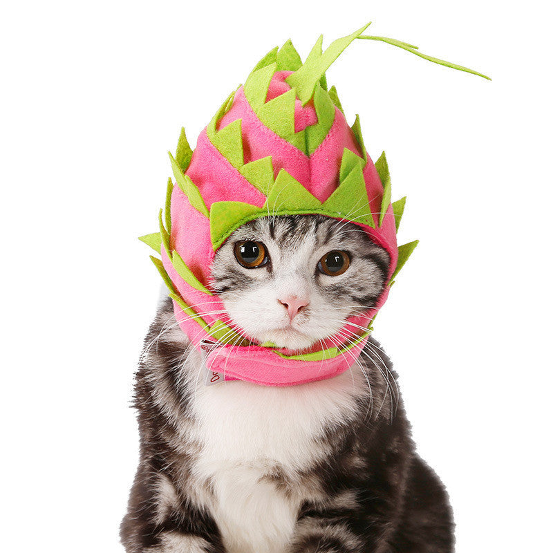 Dragon Fruit Costume