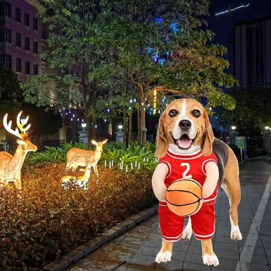 Ball Player Costume