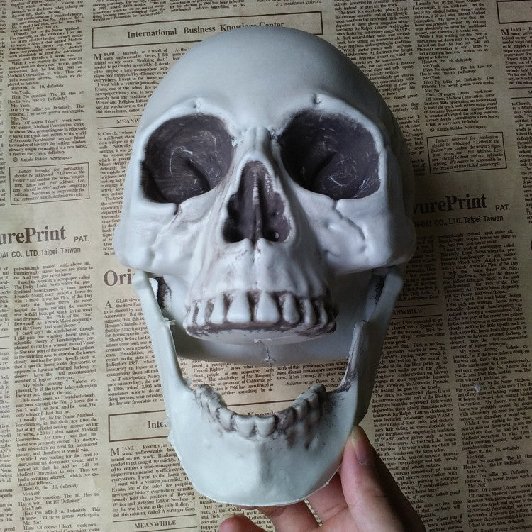 Artificial Skull