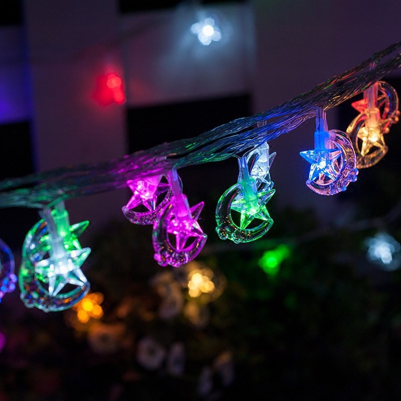 Garden Decoration Christmas Lights