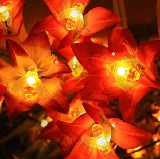 Solar New String Lights