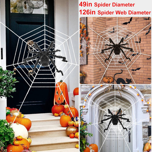 Outdoor tarantula Web