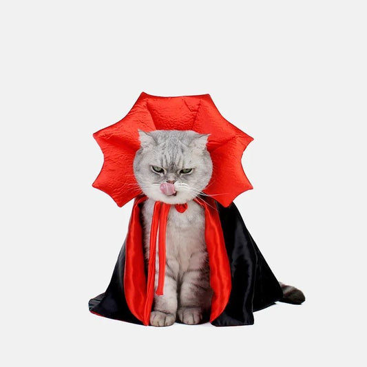 Vampire Costume