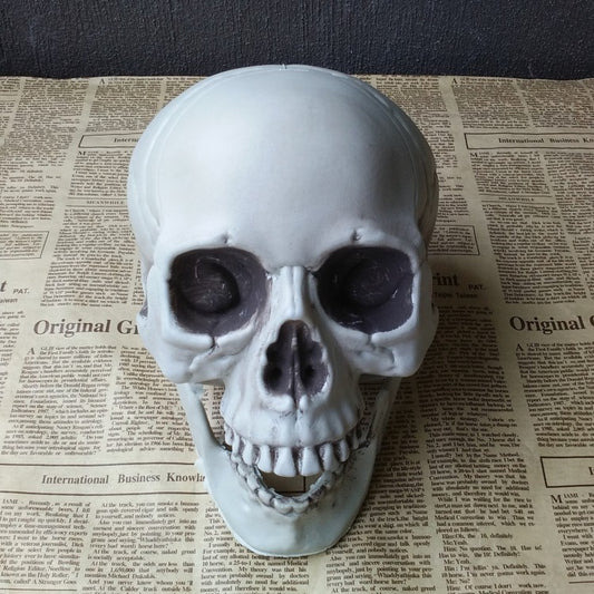 Artificial Skull