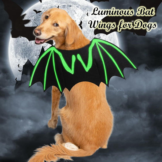 Bat Costume