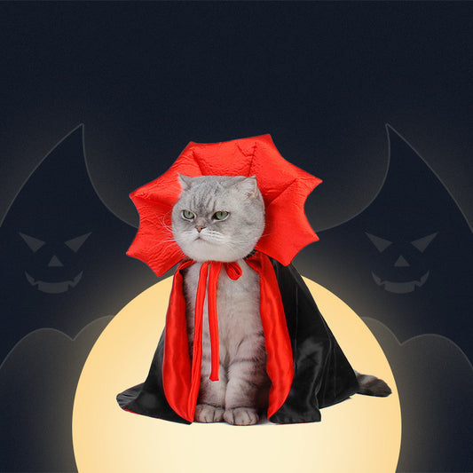 Cape Vampire King Pet