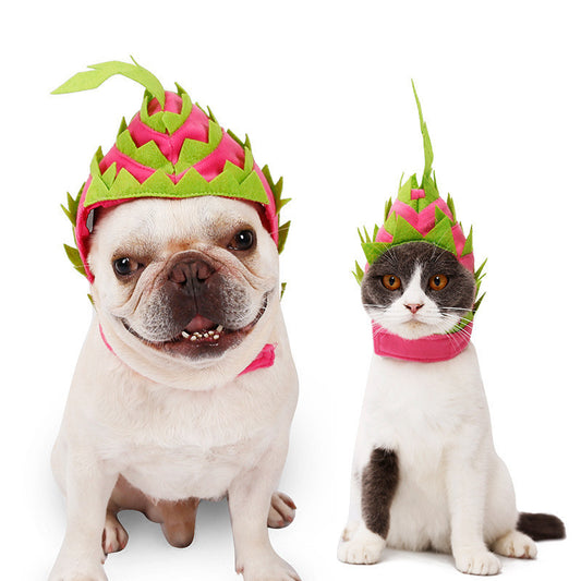 Dragon Fruit Costume
